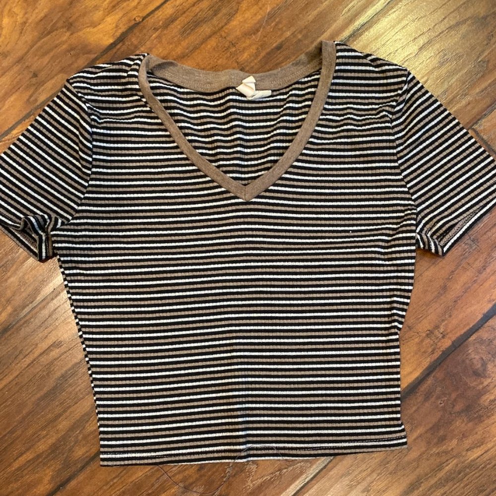 Striped Cropped Tee | Sky and Sparrow